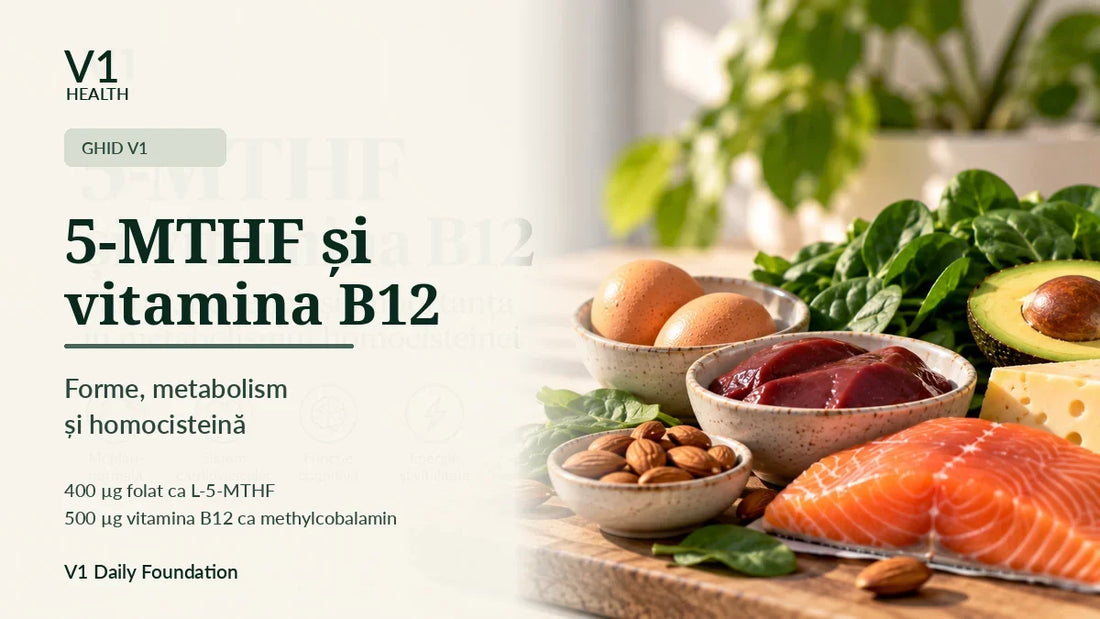 5-MTHF si vitamina B12 - forme, metabolism si homocisteina