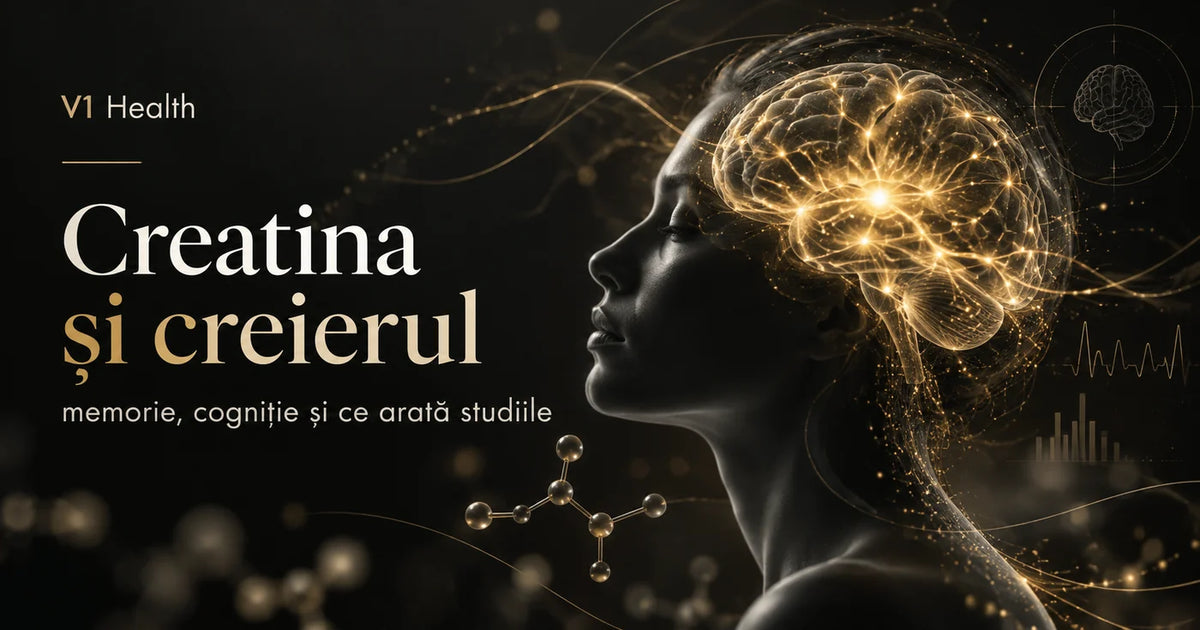 Creatina și creierul – memorie, cogniție și studii